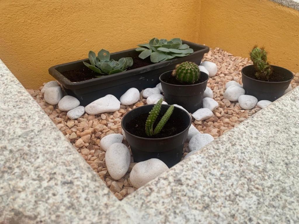 Casa De Piedra, A Lameira 拉科鲁尼亚 外观 照片